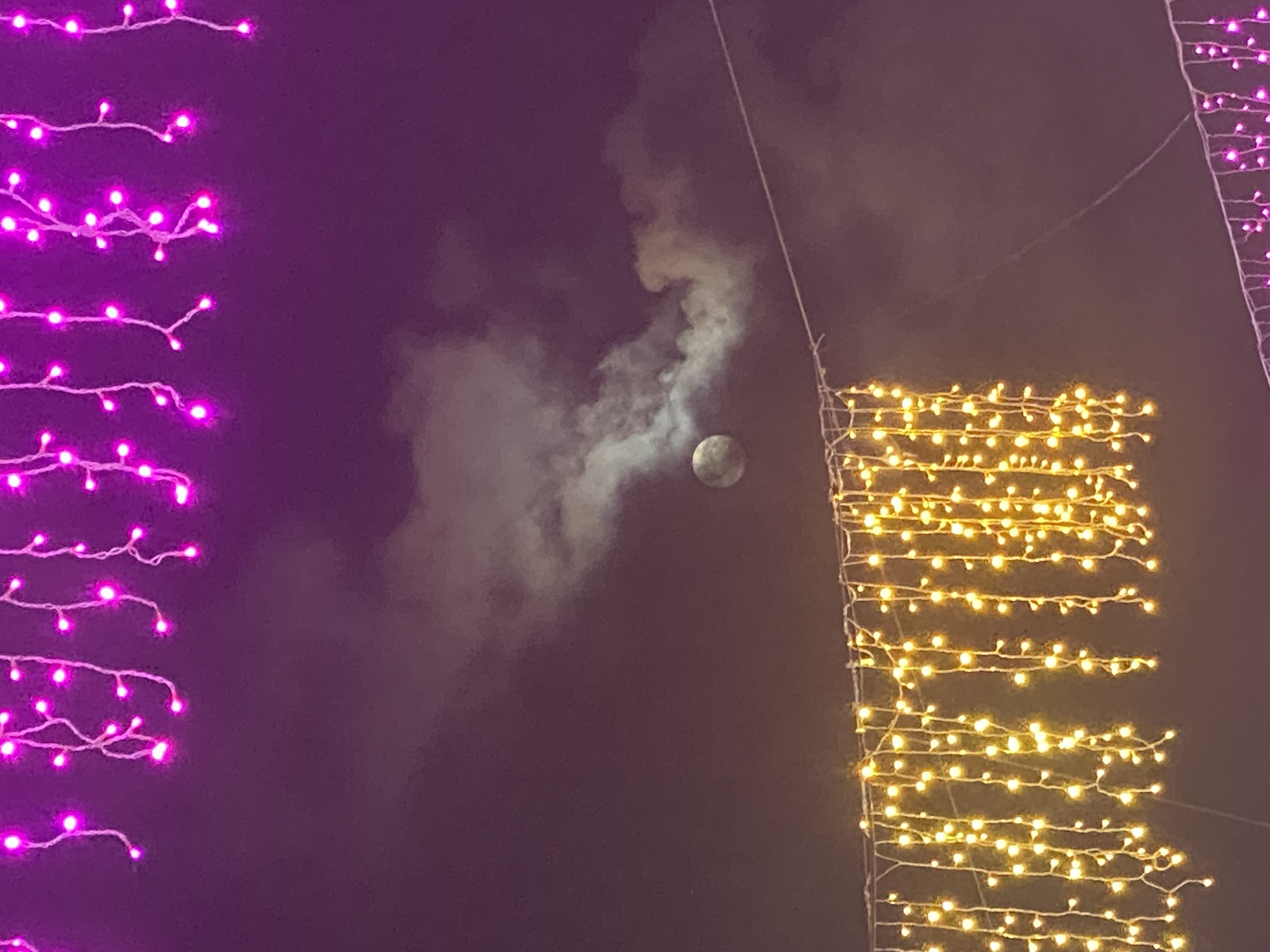 moon behind clouds in between strands of yellow and purple lights