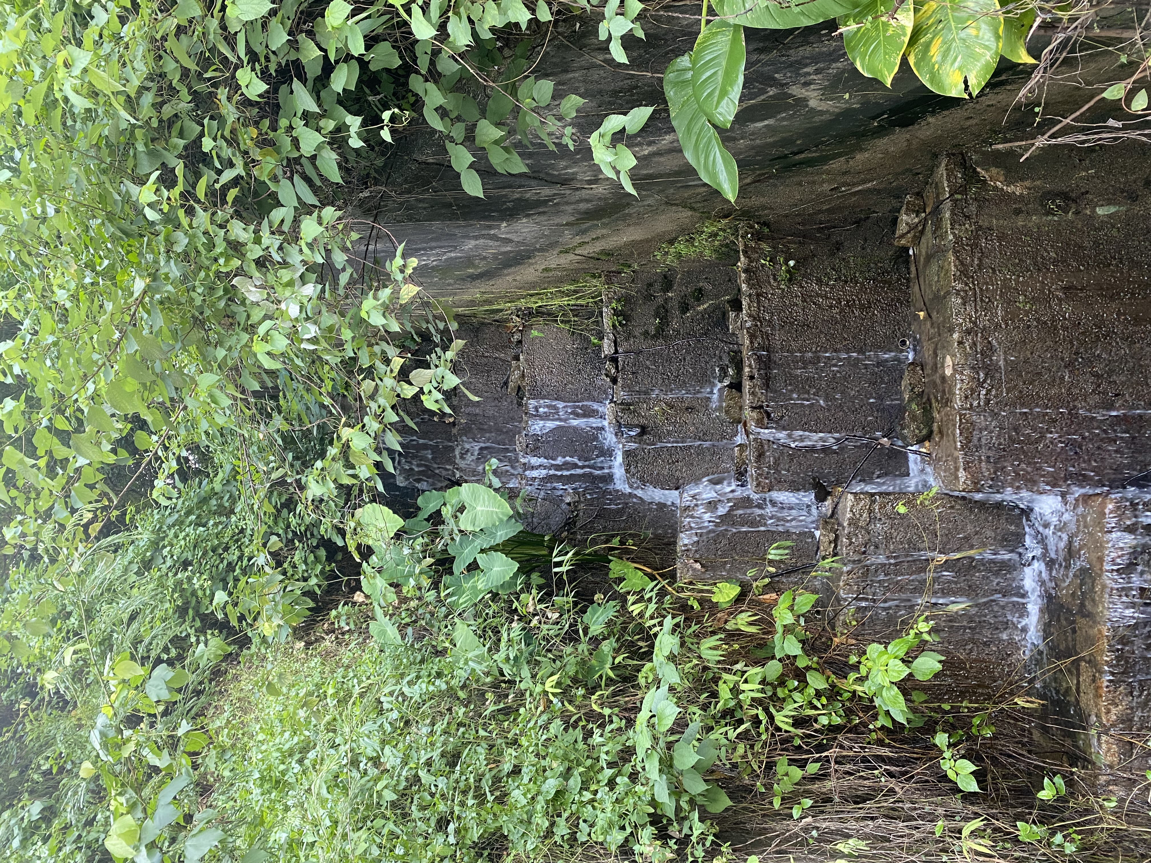 water cascading down concrete steps
